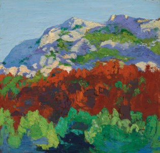 Nogales y montañas del valle de Boquer Puerto de Pollença, Mallorca
