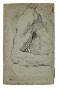 Study of an arm (recto); Anatomical s tudies (verso)
