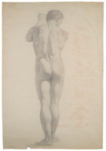 Nude man, seen from behind