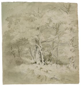 Study of trees