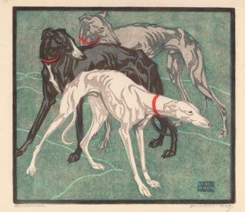 Windhunde