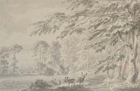A woodland landscape with deer