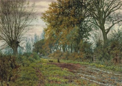 Rabbits on a country path