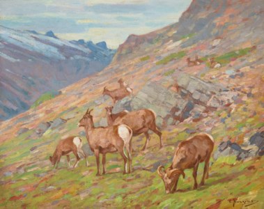 In the Open