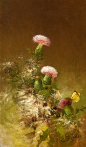 Thistles