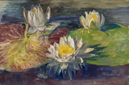 Water-Lilies. Red and Green Pads. Study from Nature
