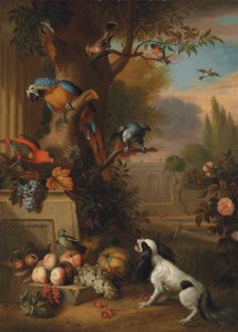 A blue and gold macaw, an African grey parrot, a parakeet and other birds, with grapes, melons, apples and a dog, in a park landscape
