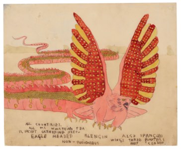 Eagle Headed Blengin