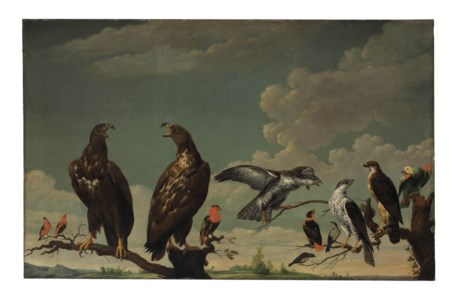 A concert of birds