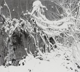 Auspicious Snow 21-05