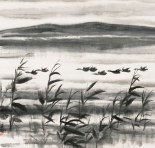 Geese Flying Over Reeds Pond