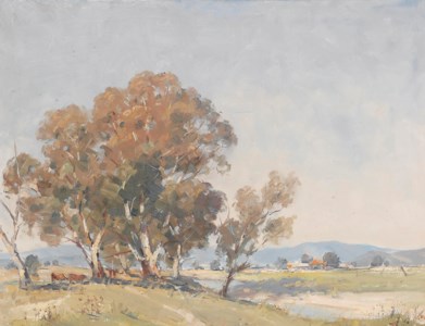 Wandillagong Landscape, Victoria, Australia