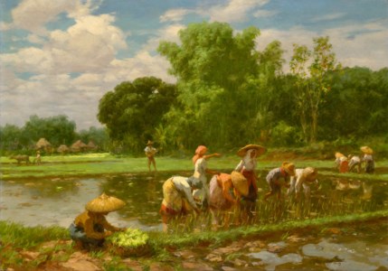 Rice Planting