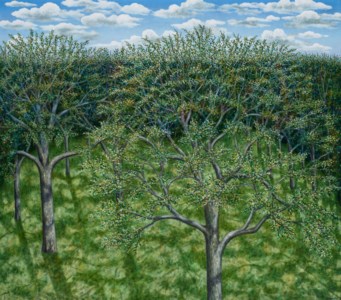 Scott Kahn, Cadman Plaza Summer