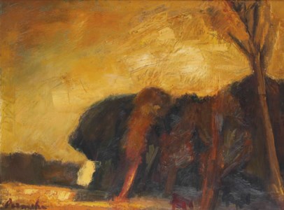 The forest edge