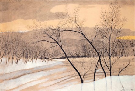 Trees in a winter landscape