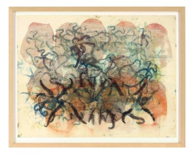 Sea Stars and Coral