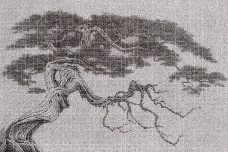 Same Root