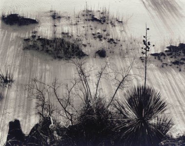 White Sands, 1946