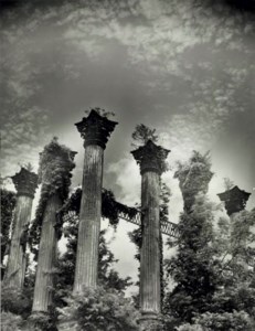 Selected studies, 1941-1947