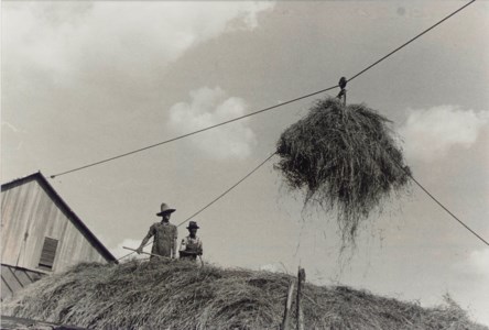 Haystacks and Farmers, Pulaski County, Arkansas, c. 1935