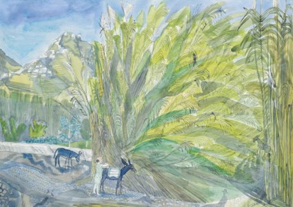 Reeds and Donkeys, Seriphos