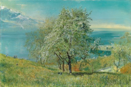 Lake of Geneva: looking West near Territet