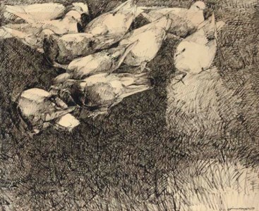 Untitled (Pigeons)