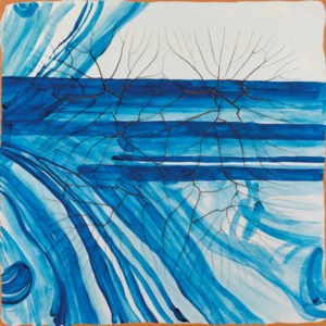 Adriana Varejão, Espelho D'Agua