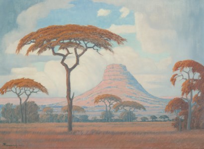 Acacias with Kranskop Beyond, Limpopo Province