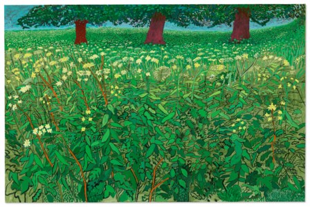 David Hockney, Queen Anne's Lace Near Kilham