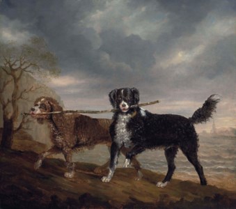 Mrs. Orby Hunter's spaniels, Diver and Shuckleback, by the sea