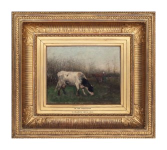 In the meadows