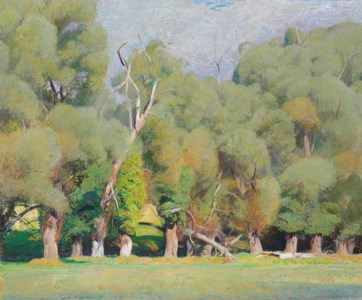 Willows