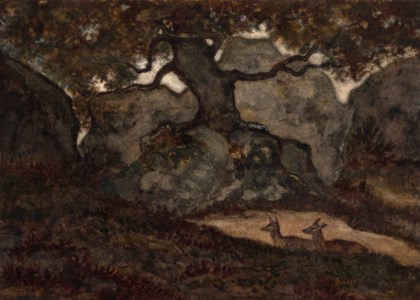 Two deer at rest in the forest of Fontainebleau