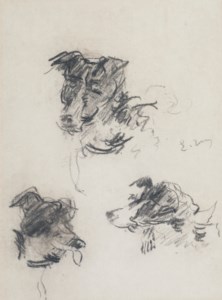 Têtes de chiens