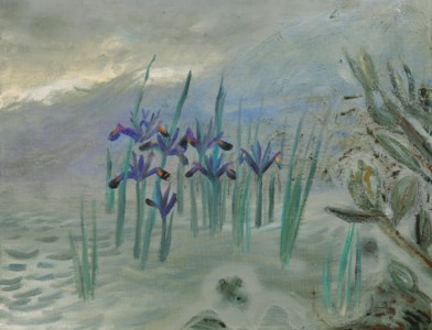 Marsh Iris