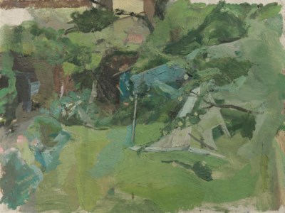 The garden at 13 Park Lane, Norwich