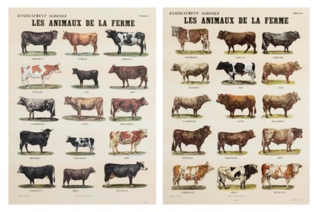 Les animaux de la ferme (J. 21)