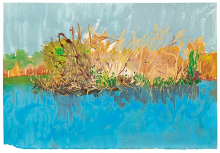 Untitled (Island, colour)