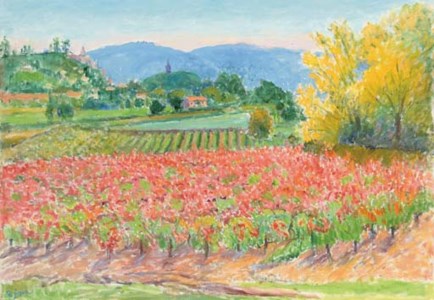 Vineyard below Bonnieux