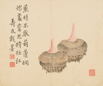 Various Subjects