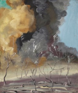 Fire in the bush at Yalinga