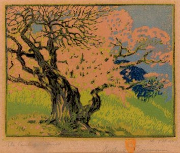 The Bishop's Apricot