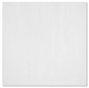 Untitled (White Grid series)