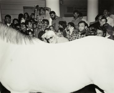 M.F. Husain Paints a Horse, Delhi