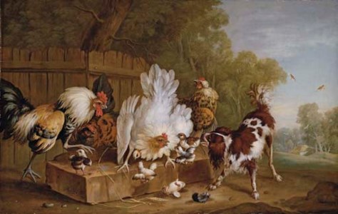 A spaniel disturbing chickens by a fence in a landscape