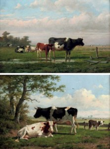 Cattle in a pasture