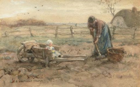 In the wheelbarrow