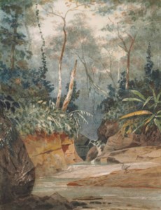 Landscape, Trinidad